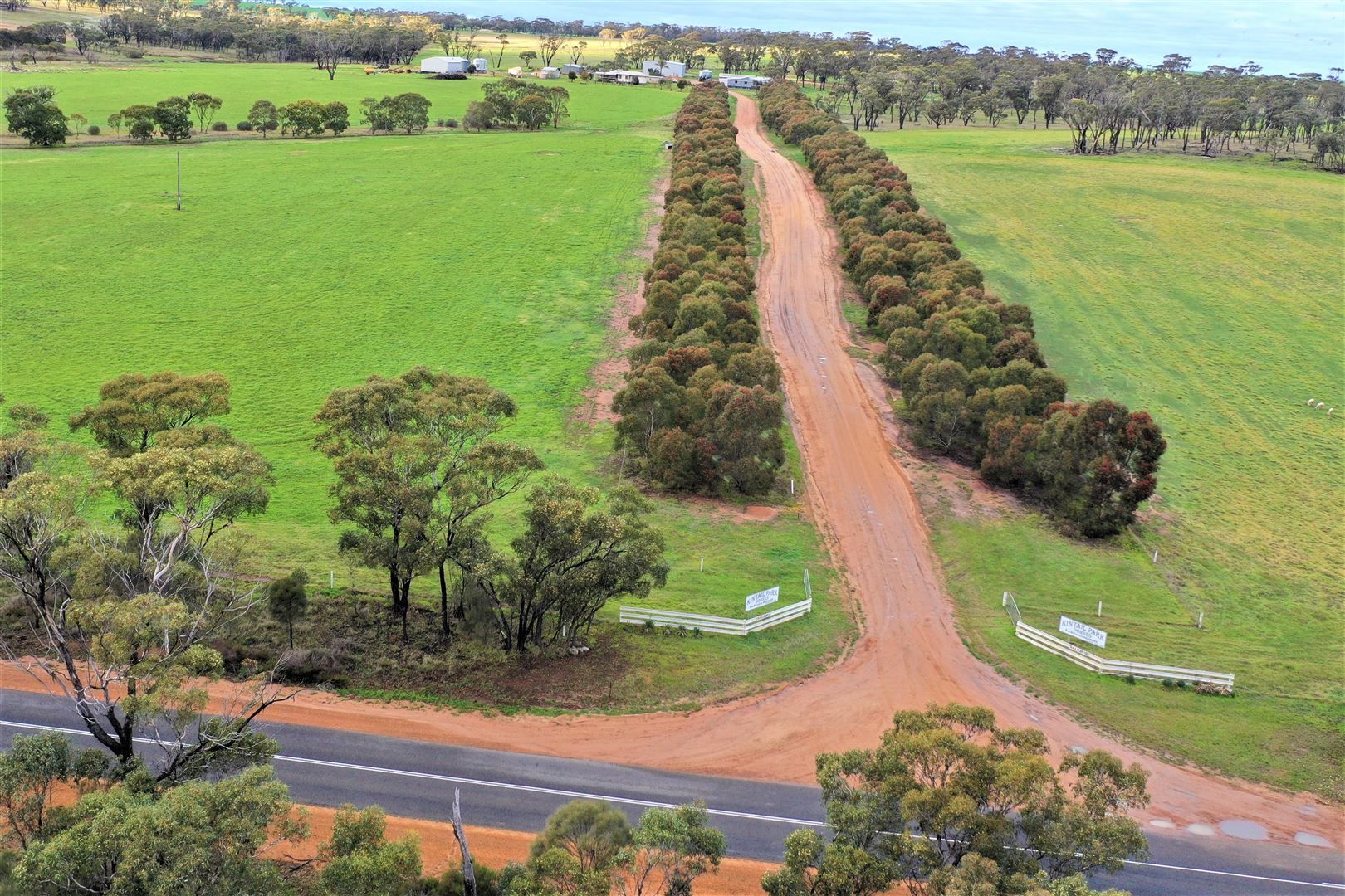 Jerramungup WA 6337 House for Sale Domain