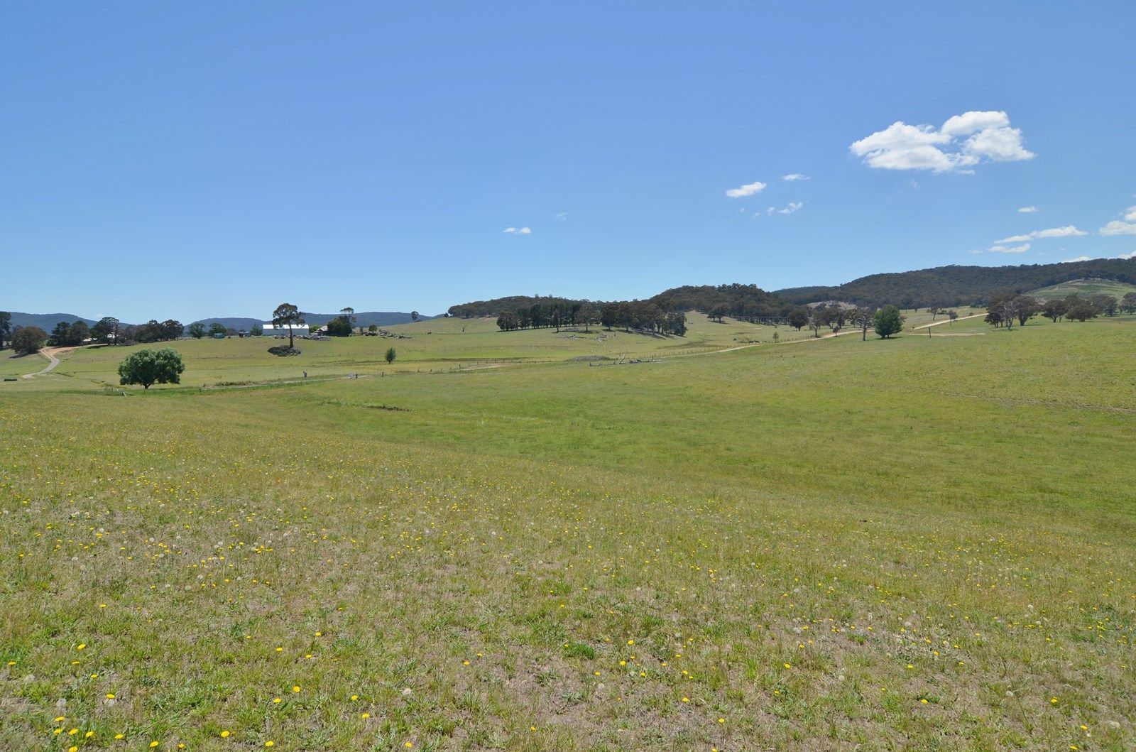 Lot 14 Back Cullen Road, Portland NSW 2847, Image 2