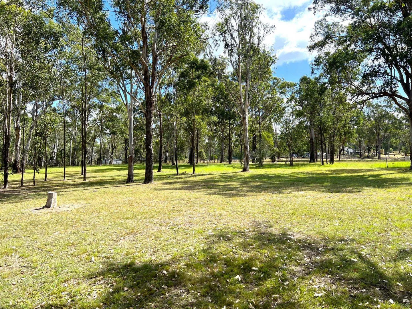 Image 15