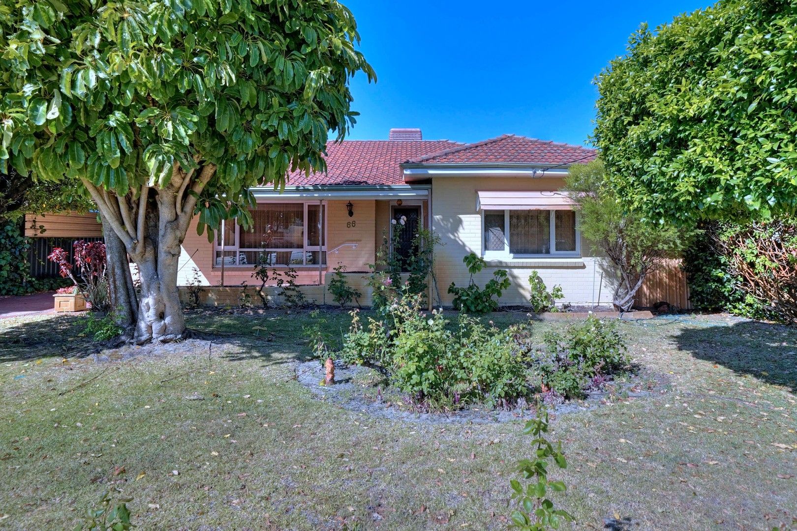 66 Valentine Avenue, Dianella WA 6059 Domain