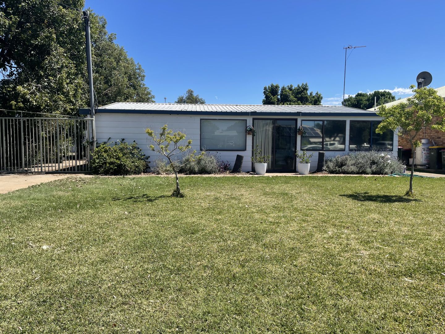 1315 Rose St, Wee Waa NSW 2388 Domain