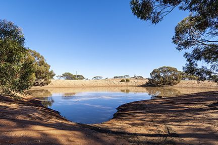 386 Morrison Road, Mukinbudin WA 6479, Image 1