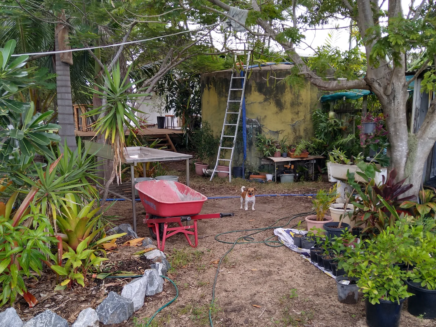 Image 5