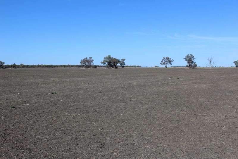 " Amaroo Drive Blocks", Moree NSW 2400, Image 2