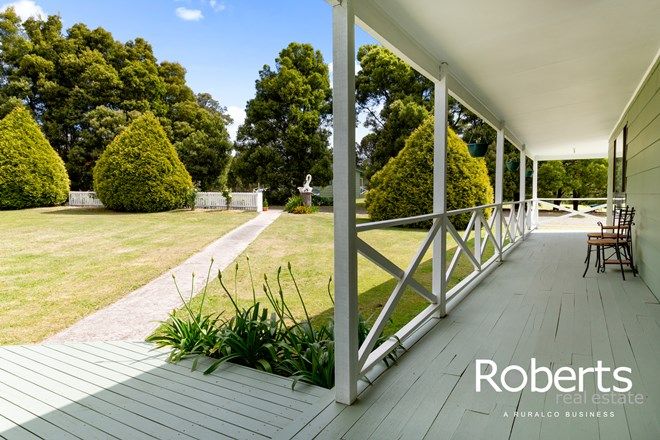 Picture of 49 Old Bangor Tram Road, MOUNT DIRECTION TAS 7252