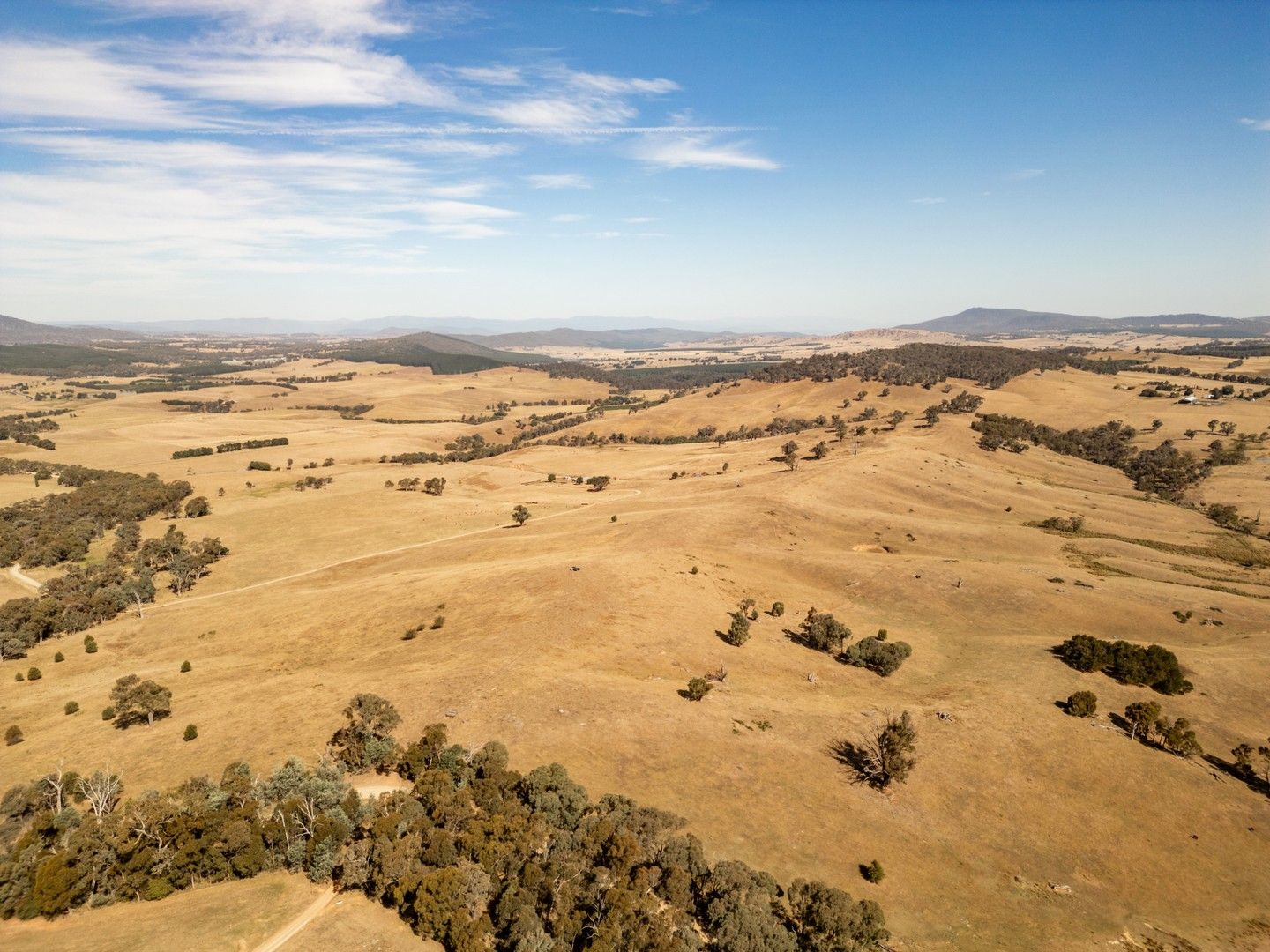 166 Glenroy Lake Road, Tumbarumba NSW 2653, Image 0