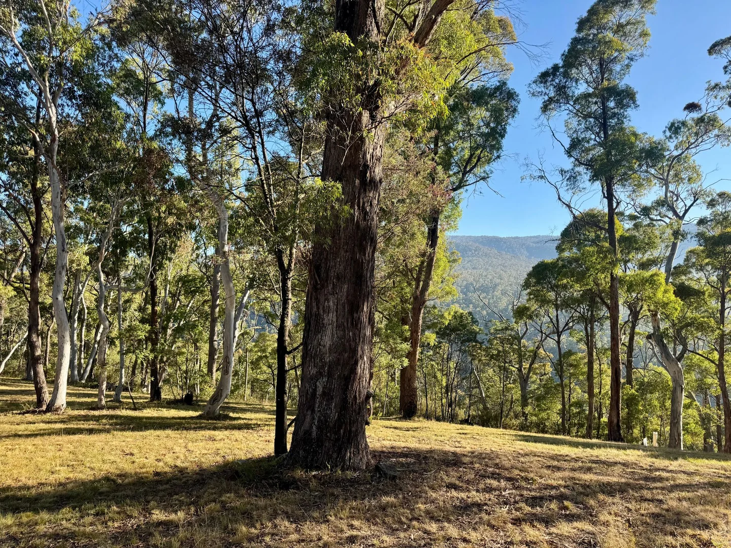 Additional image 25 of 141 Bogong High Plains Road, Glen Valley VIC 3898
