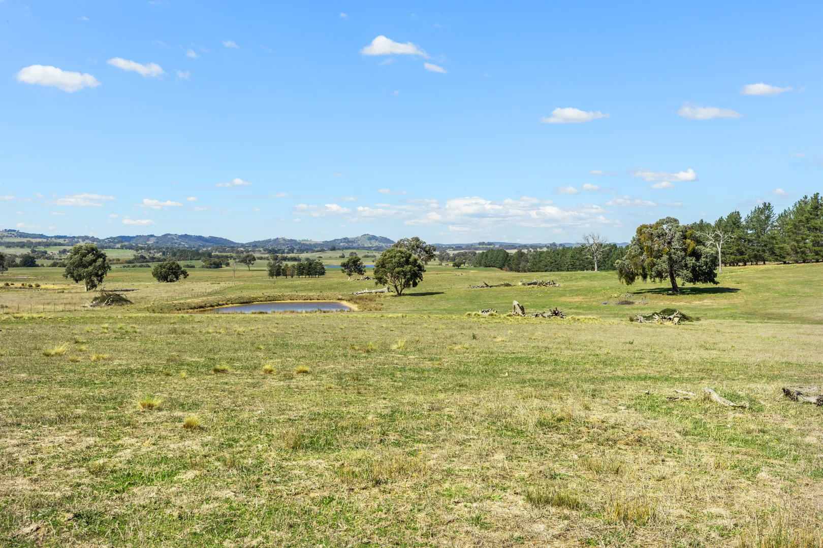 Image 23