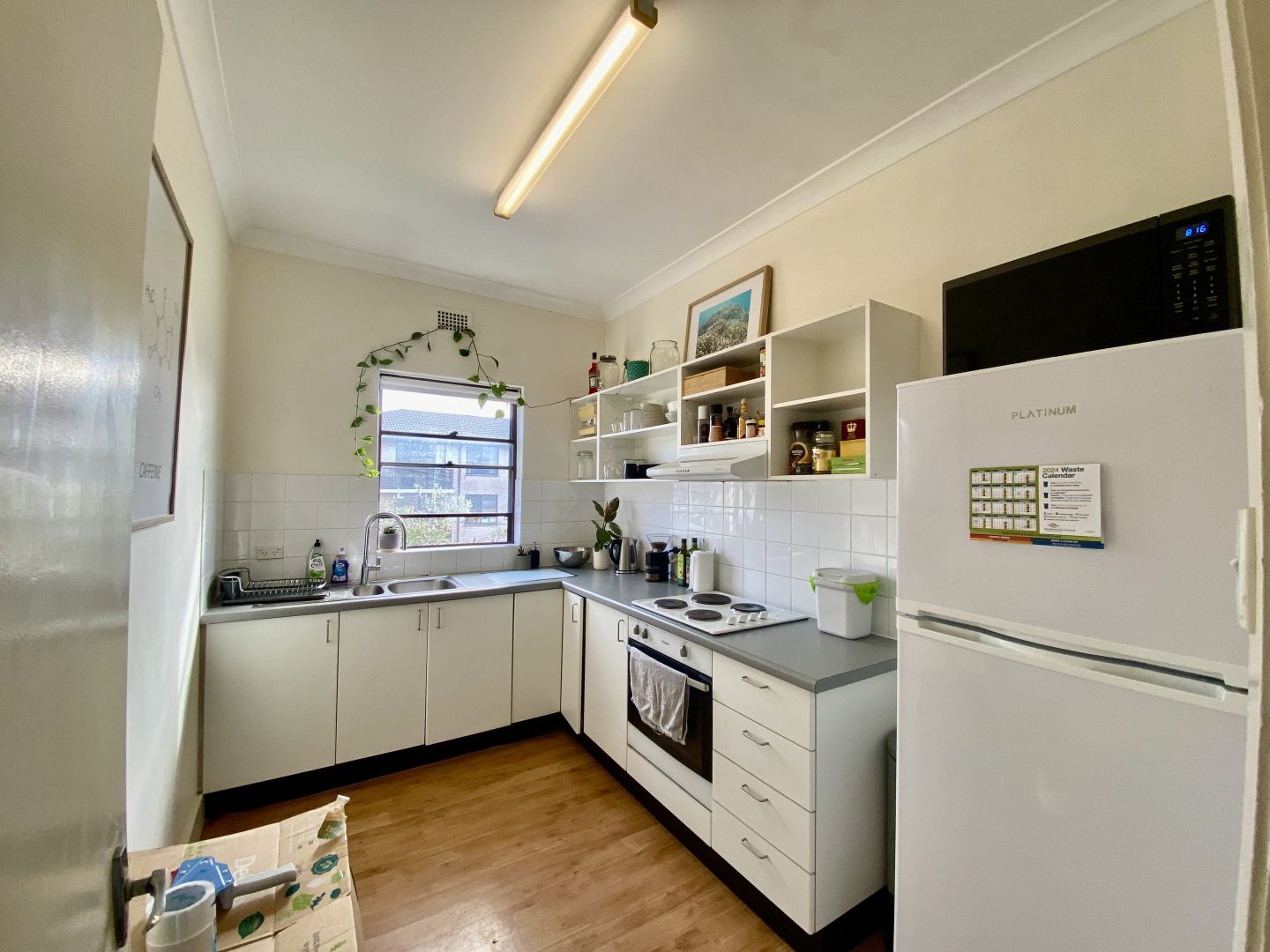 6/114 Coogee Bay Road, Coogee NSW 2034, Image 1
