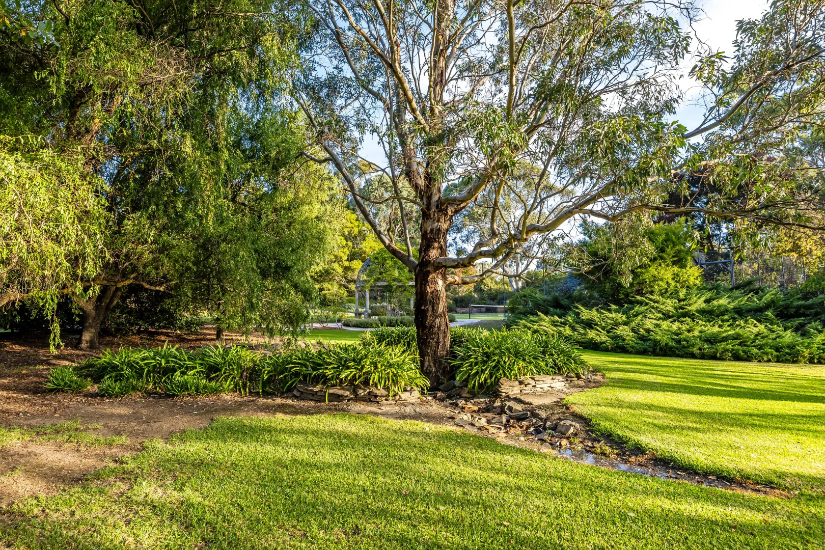 Image 25