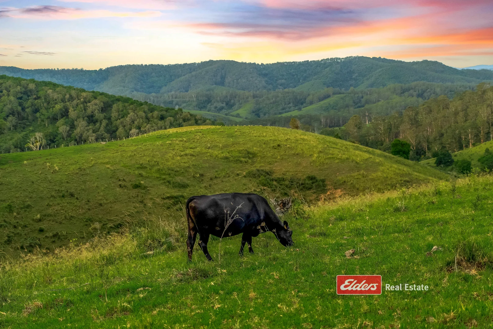 Additional image 8 of 949 Tipperary Road, Tipperary via, Gloucester NSW 2422