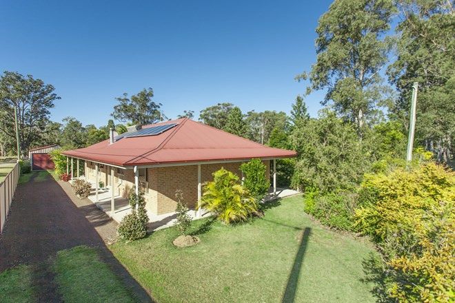 Picture of 44 Old Coach Road, LIMEBURNERS CREEK NSW 2324