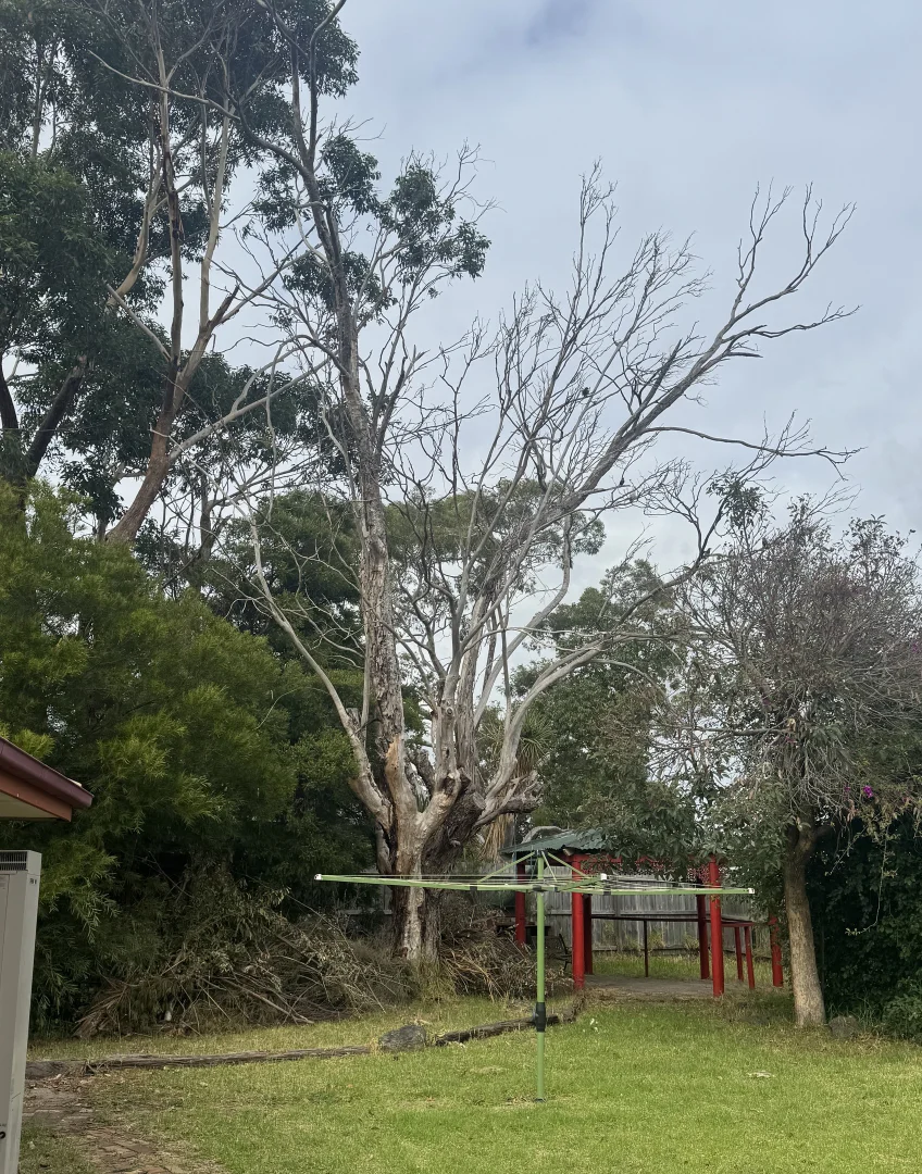 Additional image 6 of 19 Chomley Street, Cranbourne VIC 3977