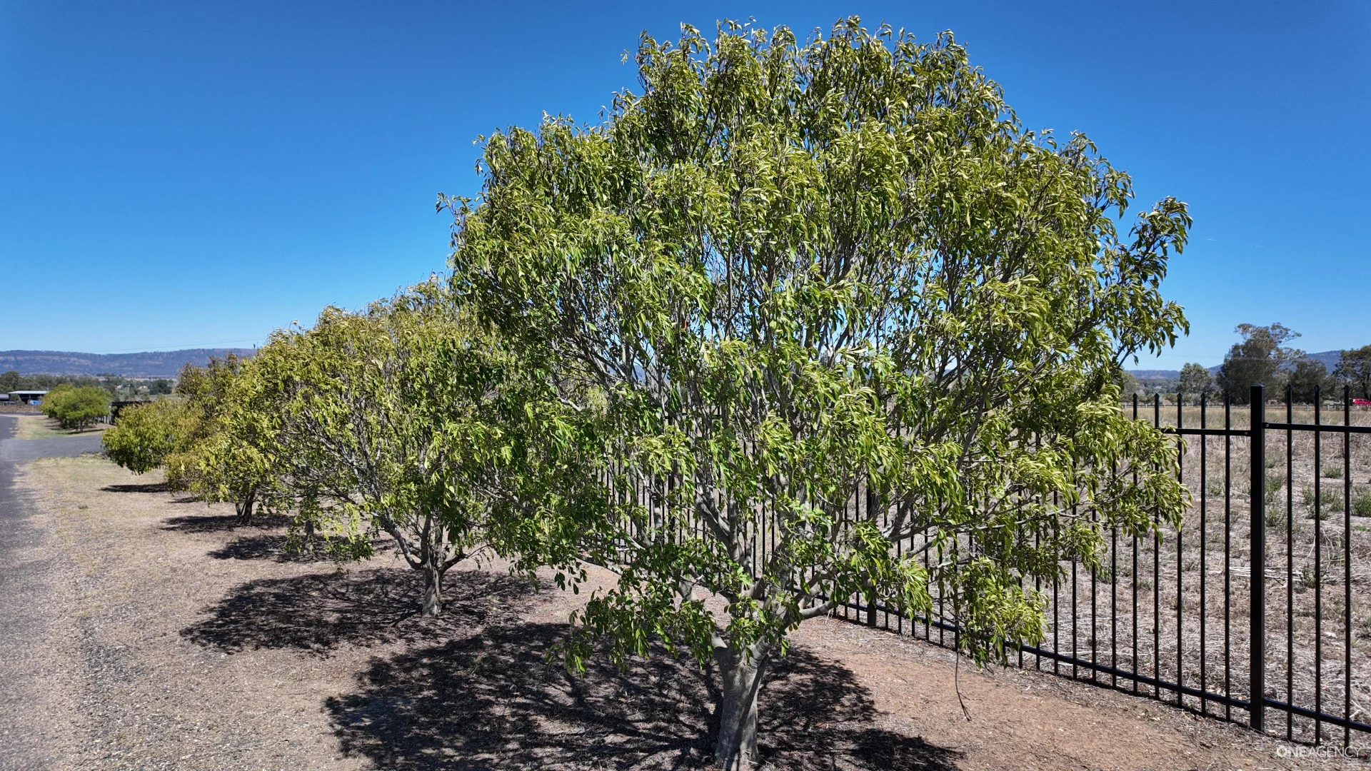 Additional image 8 of 13 New England Highway, Scone NSW 2337