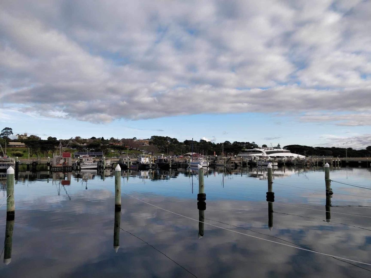 14 Seaforth Drive, Portarlington VIC 3223 Domain