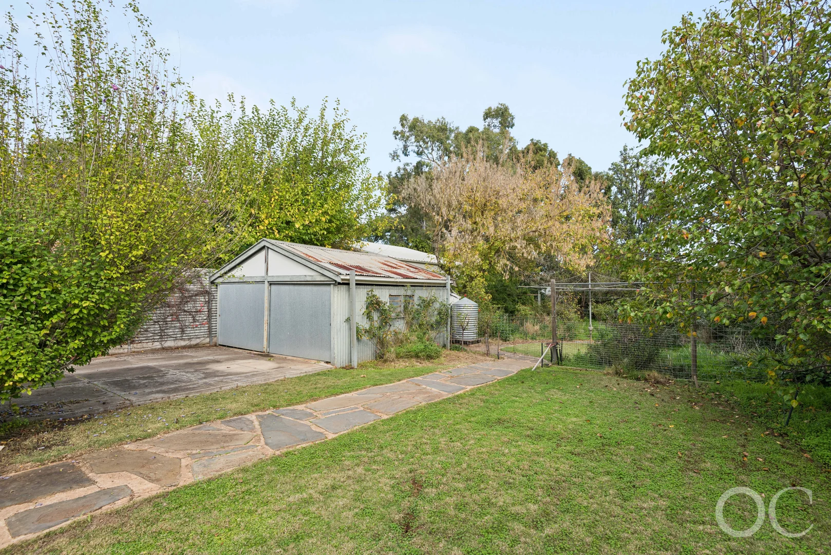 Image 15