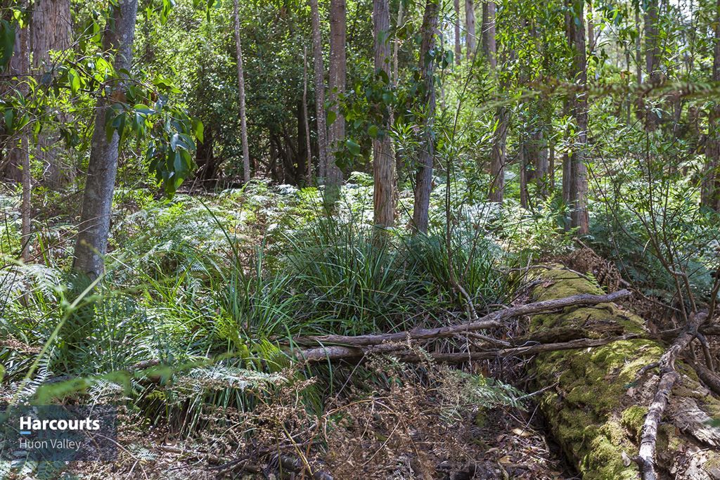 RA Fyfes Road, Mountain River TAS 7109, Image 1