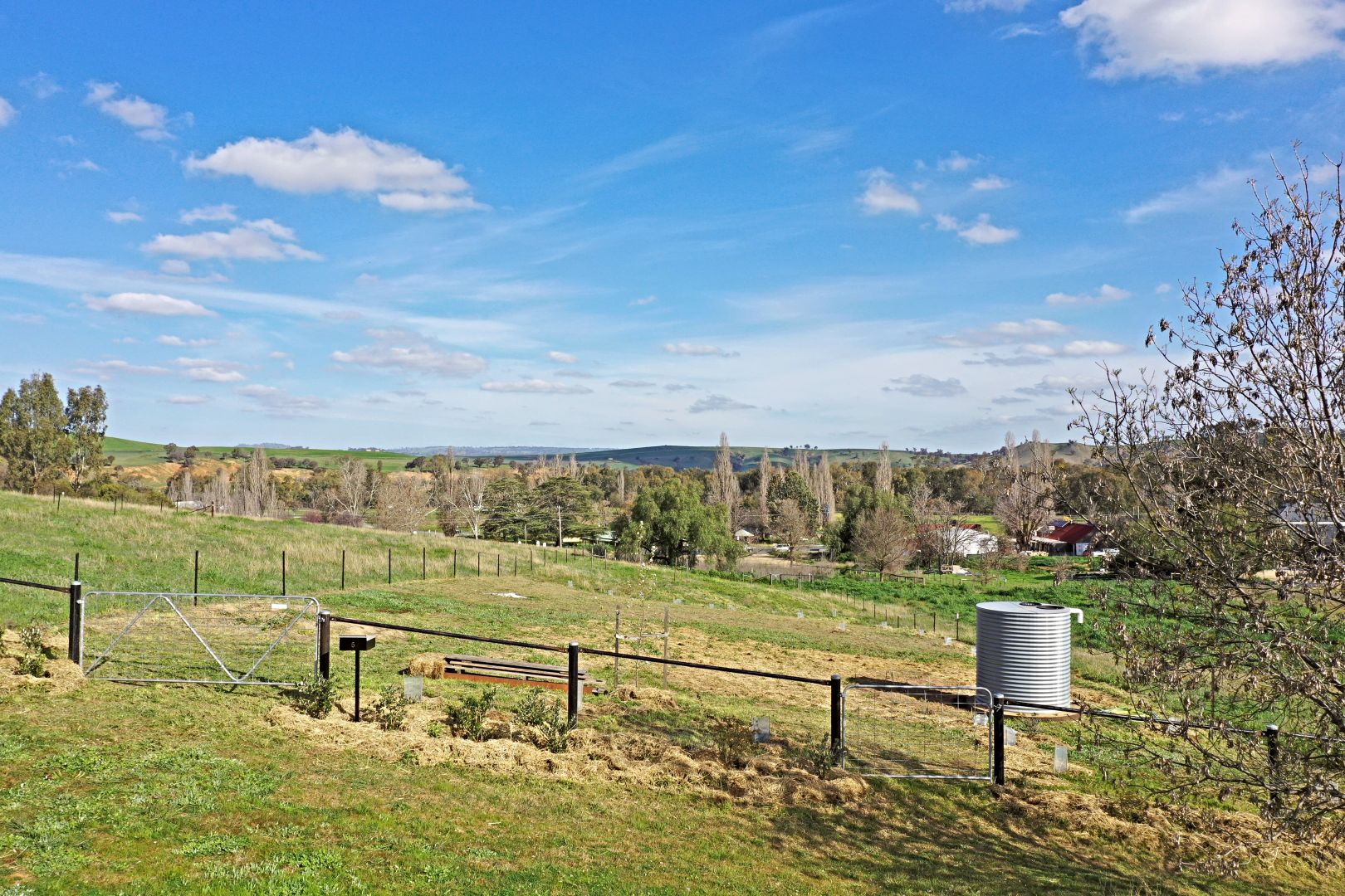 Lot 5 Stapylton Road, Jugiong NSW 2726, Image 2