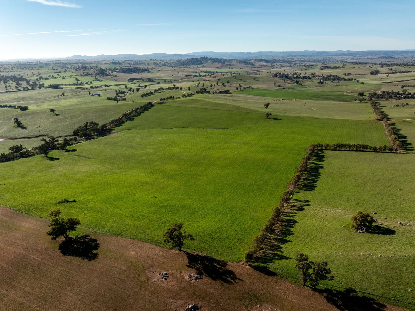 Additional image 18 of 478 Illawong Road, Jugiong NSW 2726