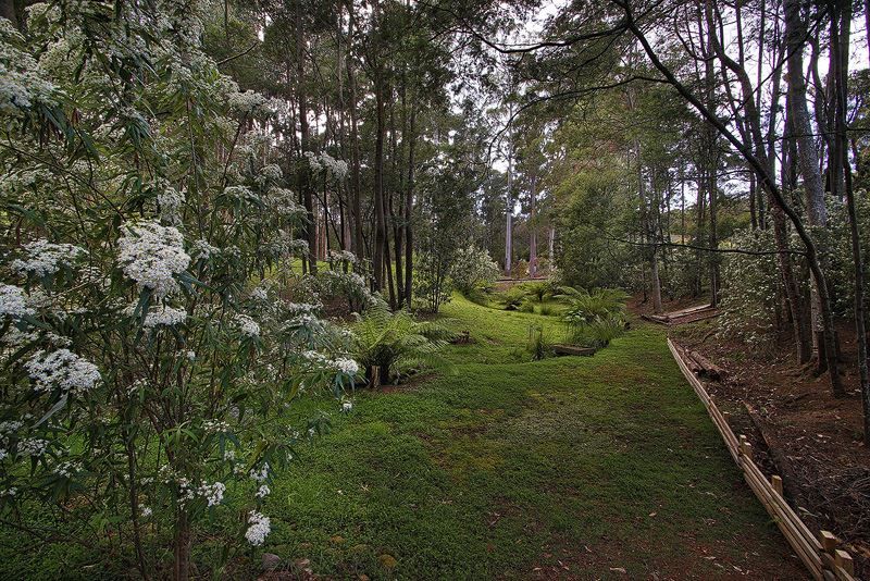 272 Kelcey Tier Road, Spreyton TAS 7310, Image 1