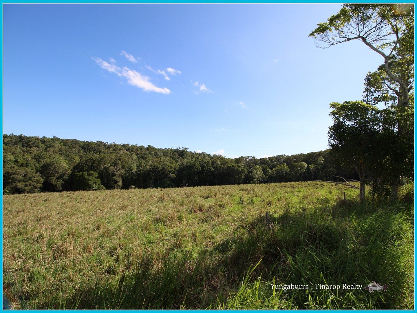 72 Lloyd Road, Yungaburra QLD 4884, Image 0