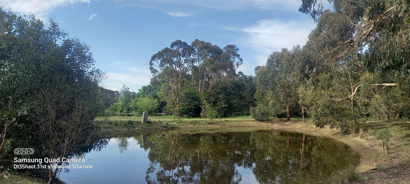 48 SUTTONS LANE, Glenlyon VIC 3461 House for Sale Domain