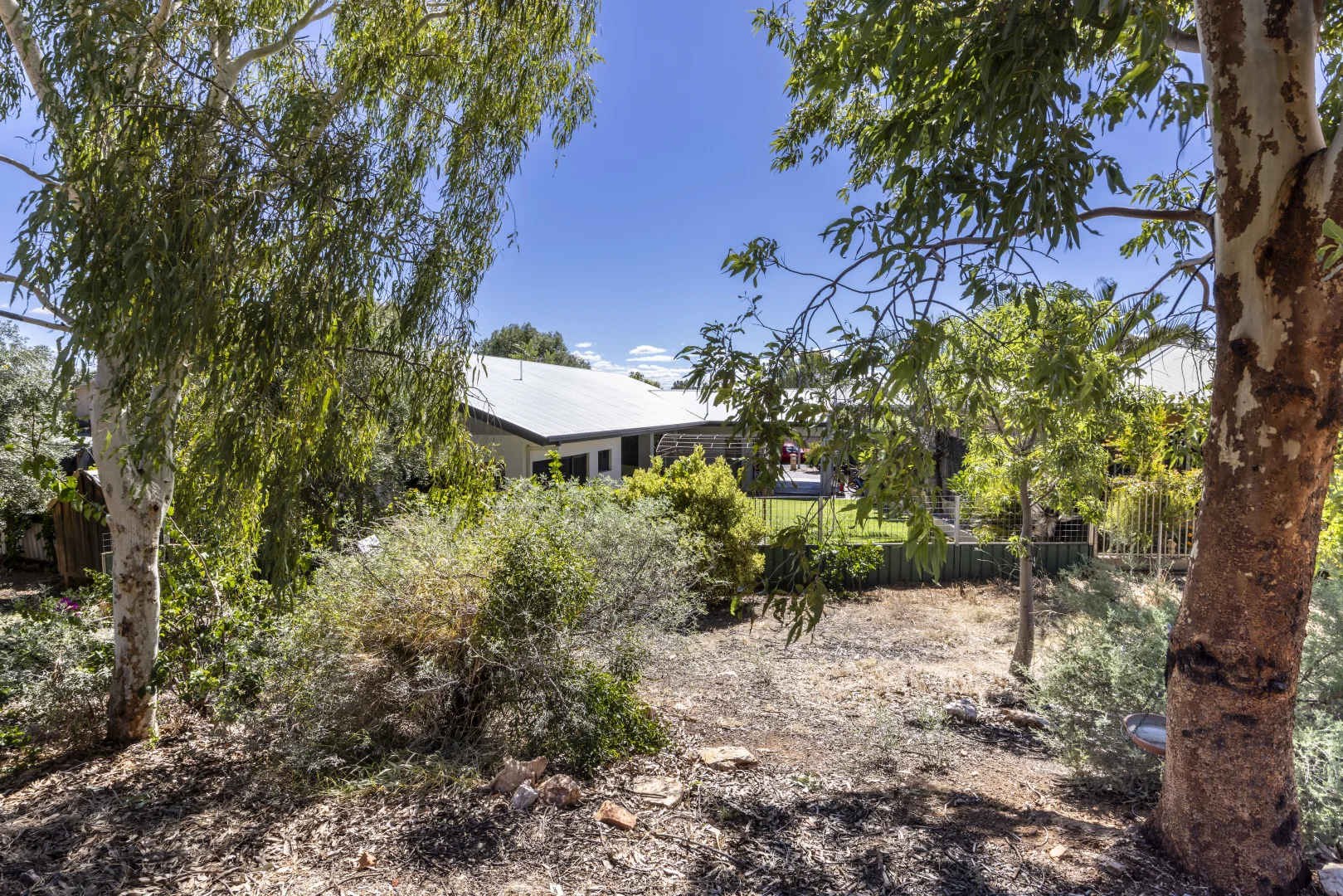 Image 22