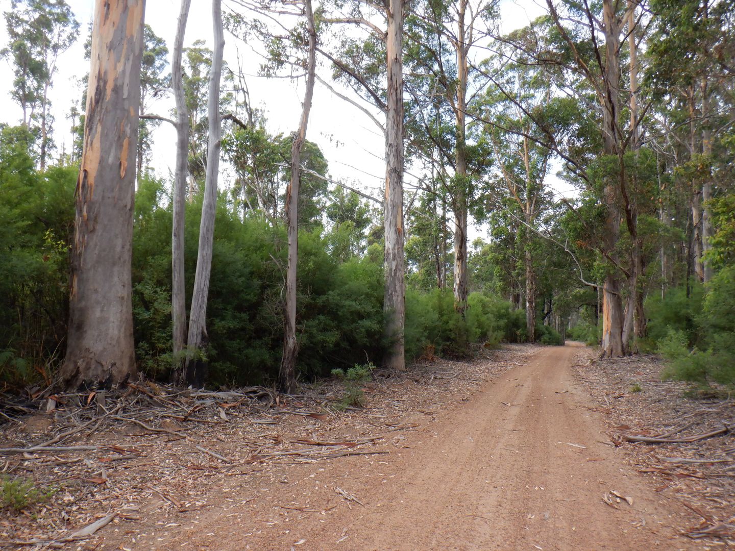 Lot 13041 cnr Moore & Preston Roads, Boorara Brook WA 6262, Image 1