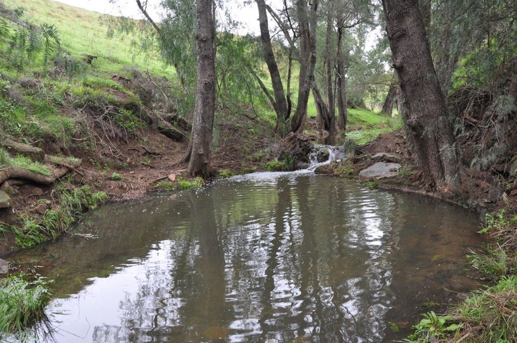 1662 Sandy Creek Rd, "Quince Tree", McCullys Gap via, Aberdeen NSW 2336, Image 1