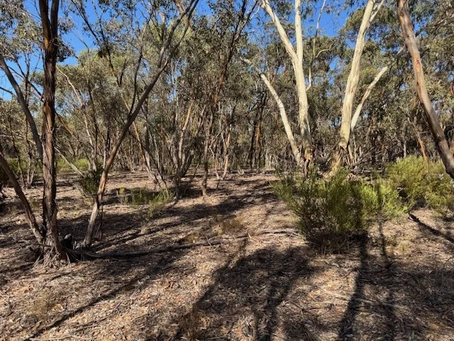 Image 14