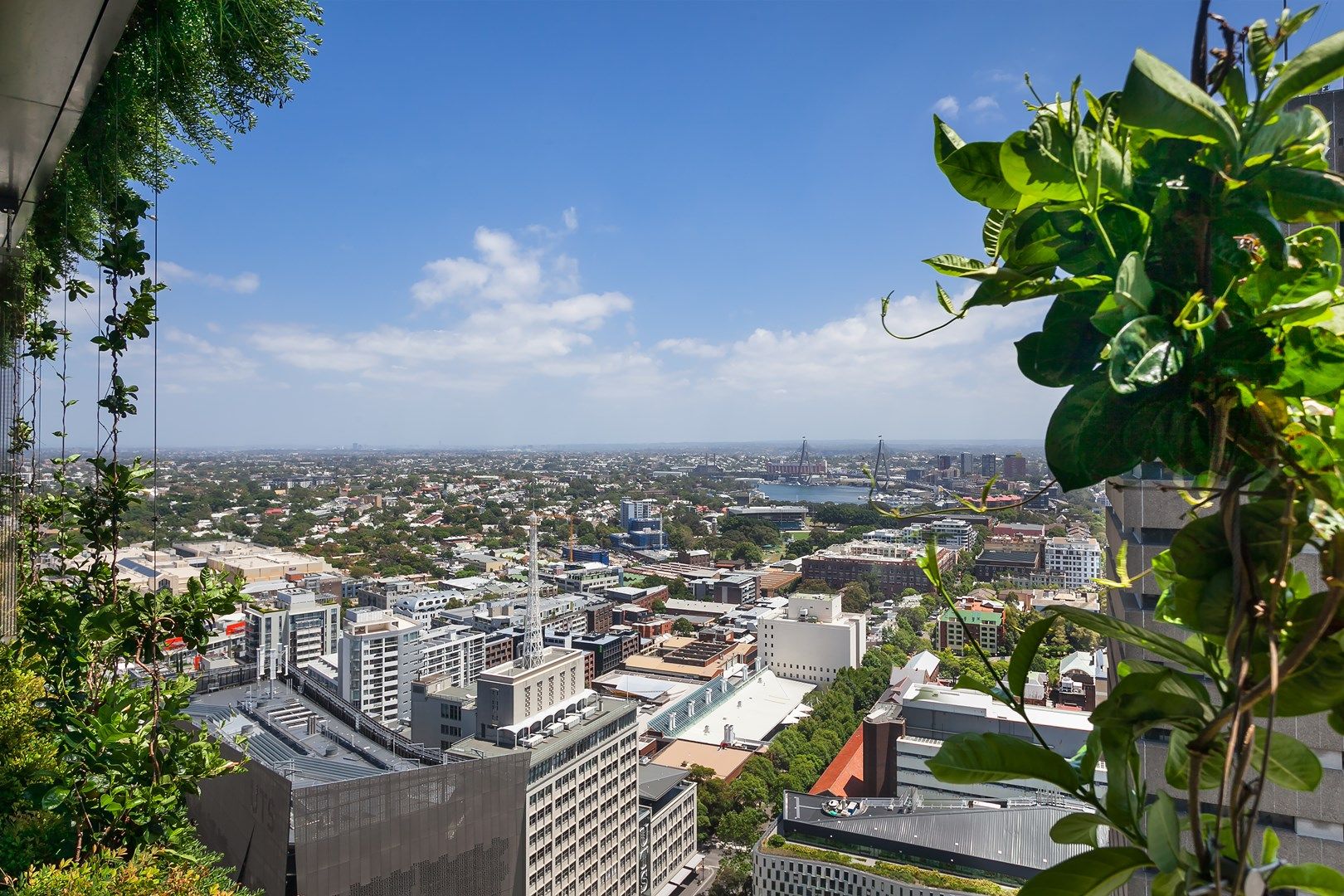 2903/1 Carlton Street, Chippendale NSW 2008, Image 0