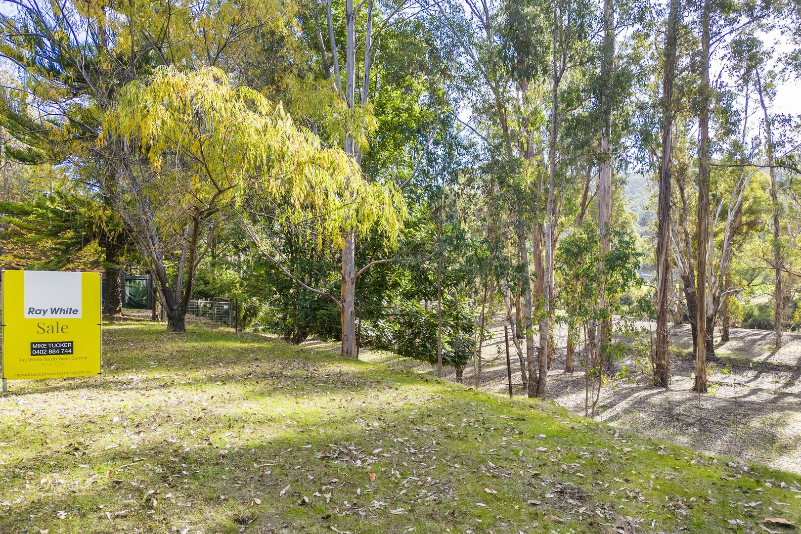 Lot 4/2574 BalingupNannup Road, Nannup WA 6275 Domain