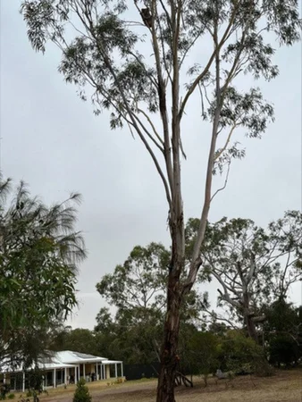 Image 19