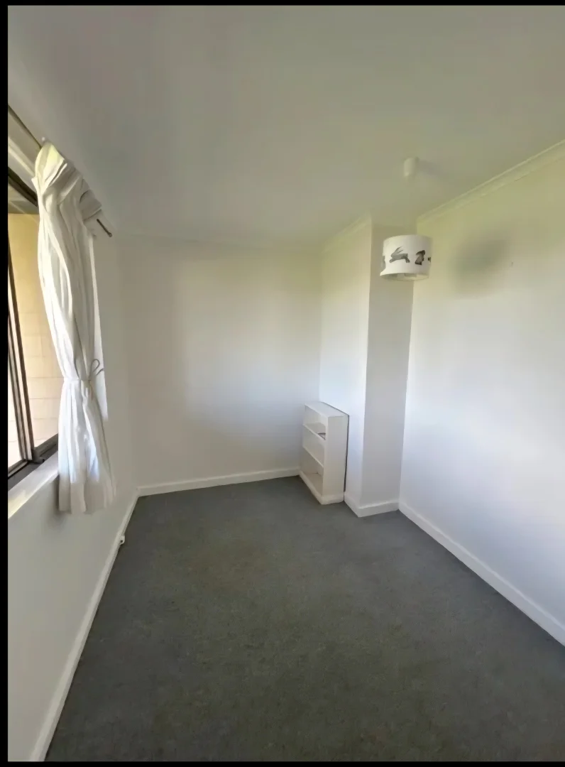 Additional image 7 of 42 Queen Street, Greenhill NSW 2440