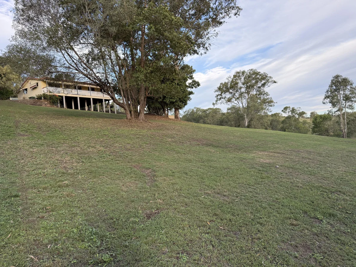 Image 32
