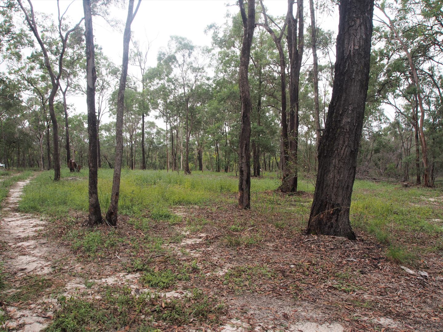 Lot 4 ADIES ROAD, Isis Central QLD 4660, Image 2