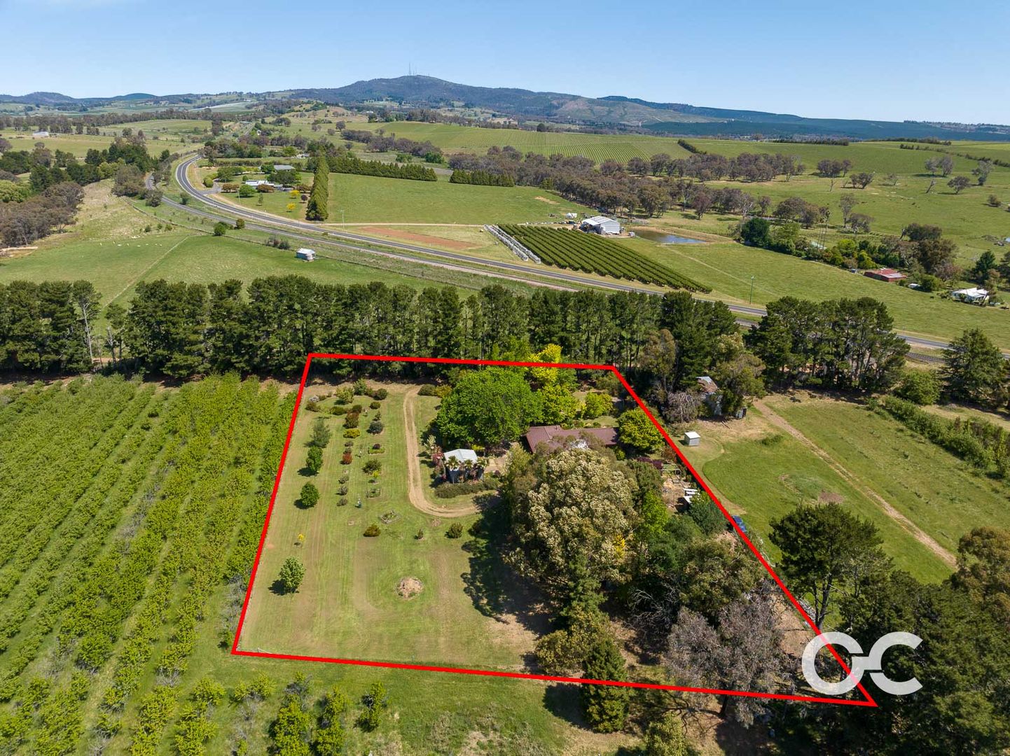 19 Watts Road, Borenore NSW 2800, Image 1