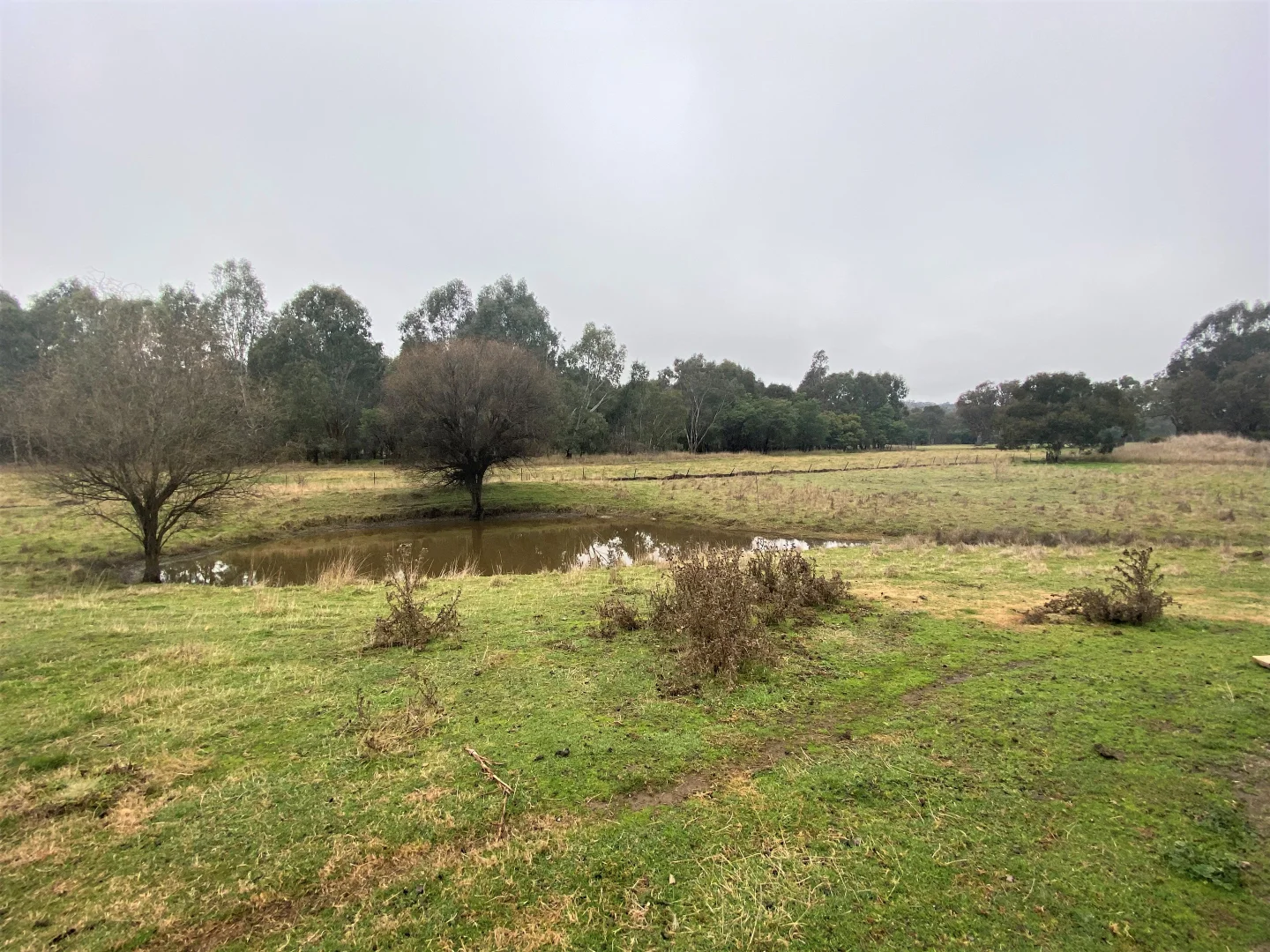 Additional image 18 of 1 Dickson Street East, Woomargama NSW 2644