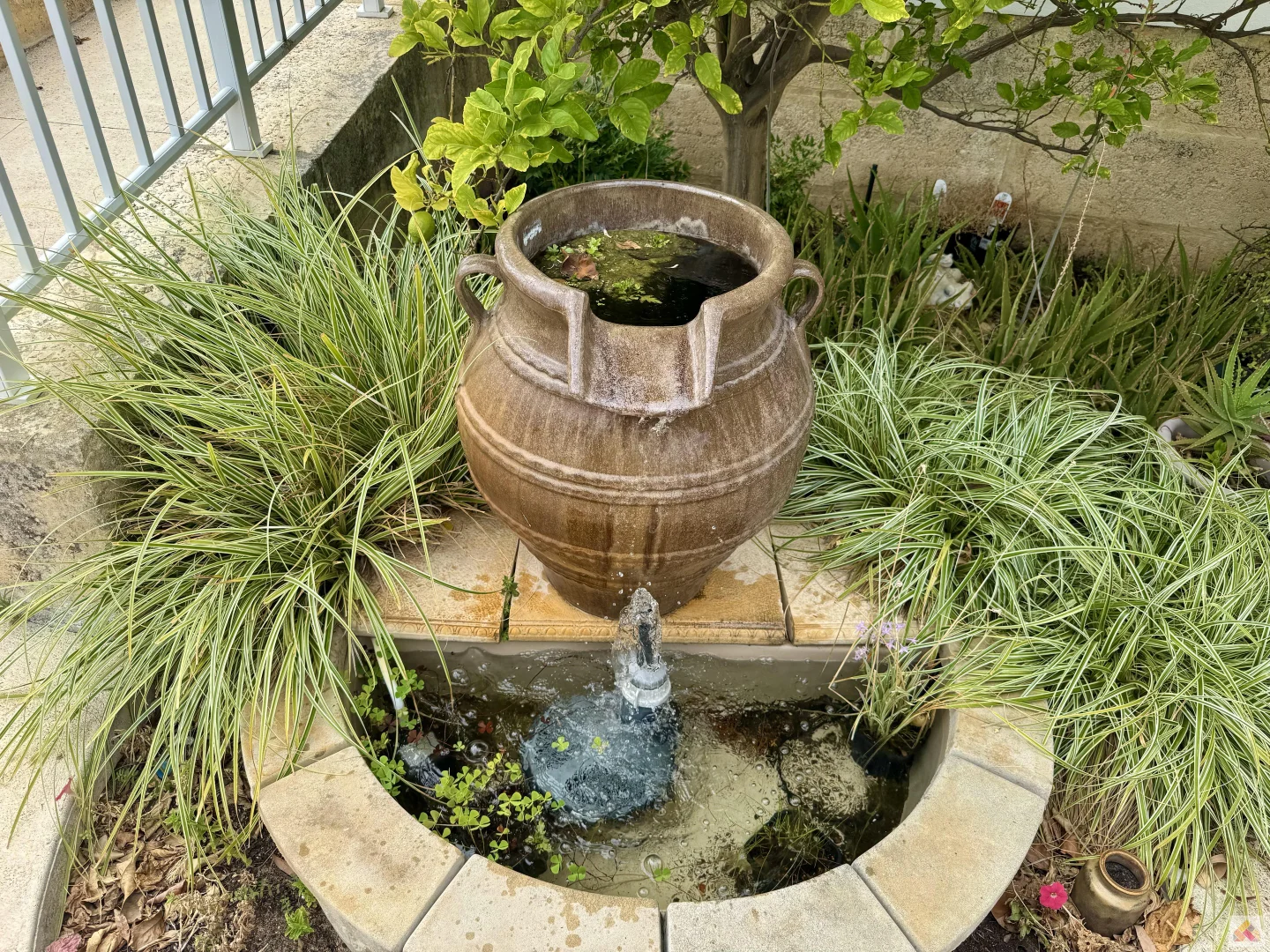 Image 6