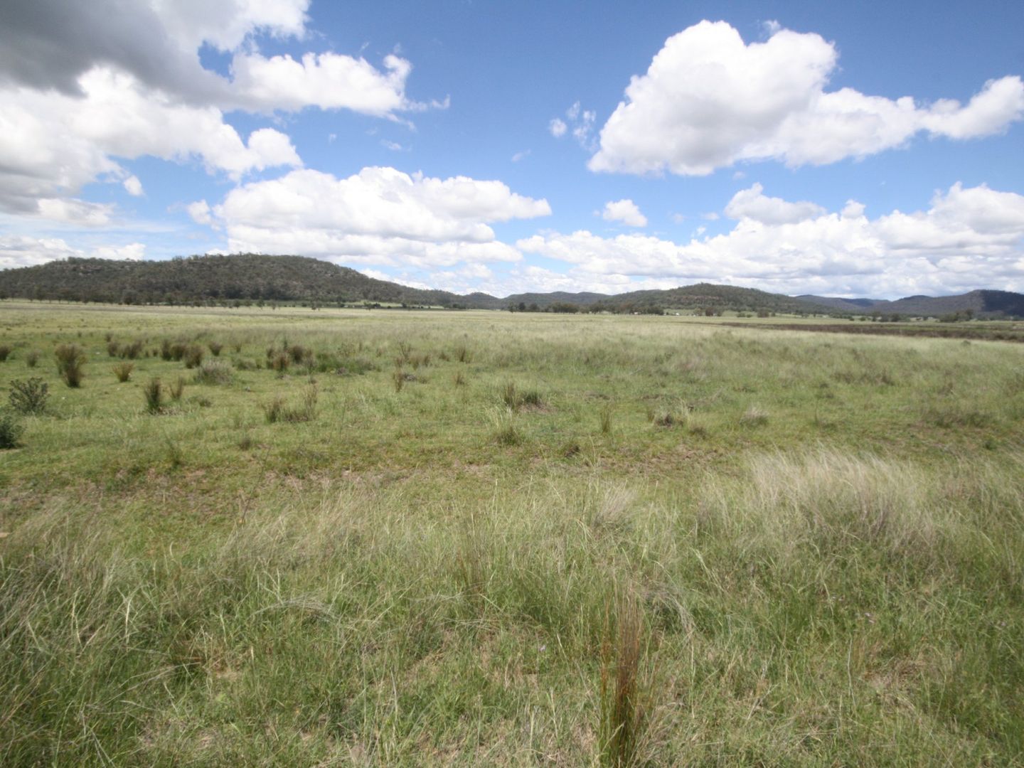 Lots 2 5 Ferndale Road, Denman NSW 2328 House for Sale Domain