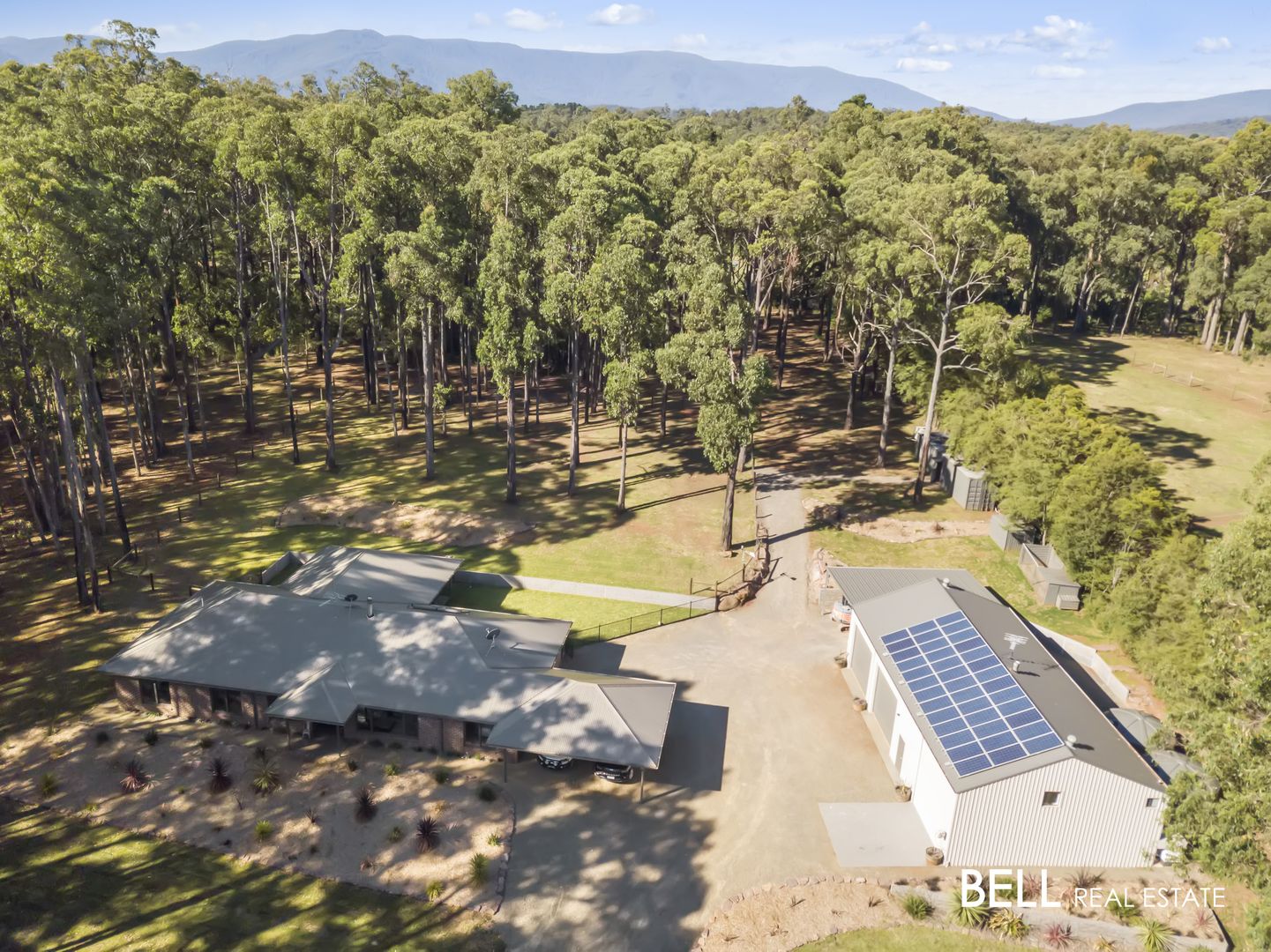 110 Worlley Road, Hoddles Creek VIC 3139, Image 1