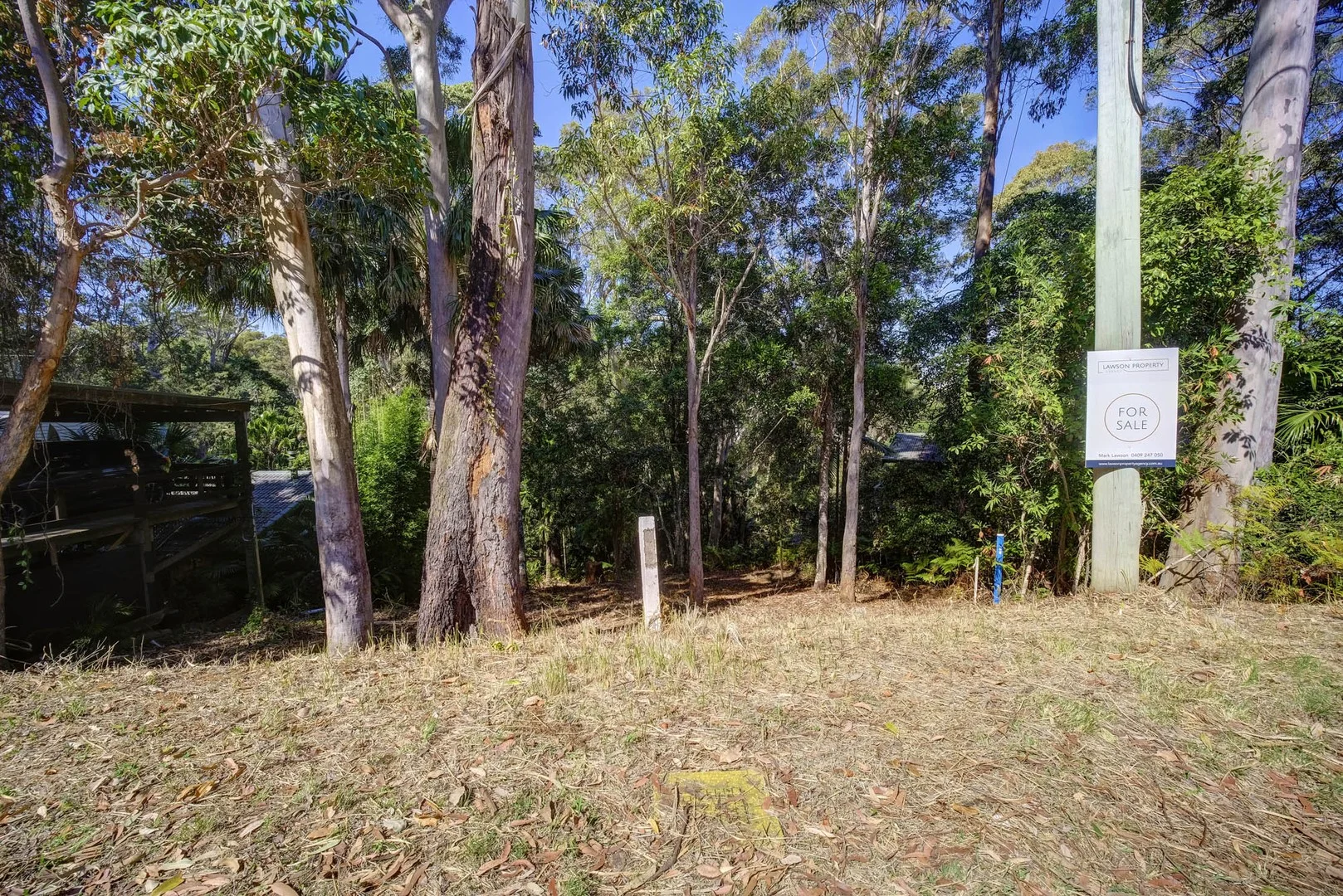 Image 4