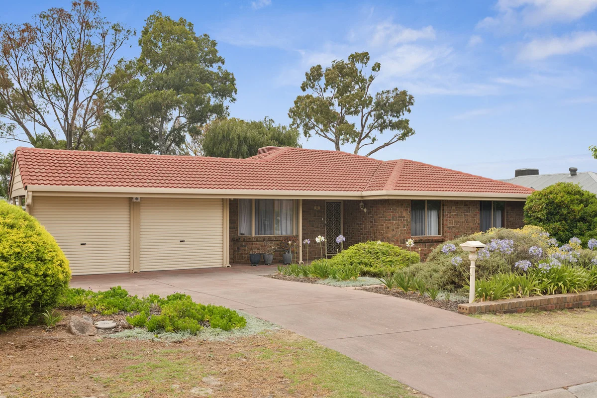 25 Carruthers Drive, Modbury North SA 5092