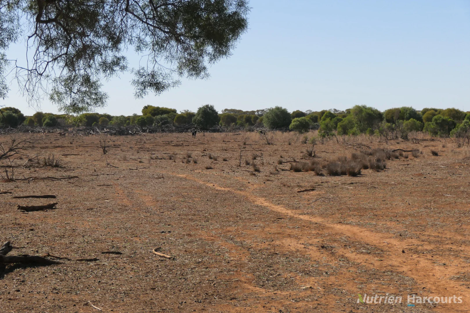Additional image 23 of 27 Singleton Drive, Cobar NSW 2835