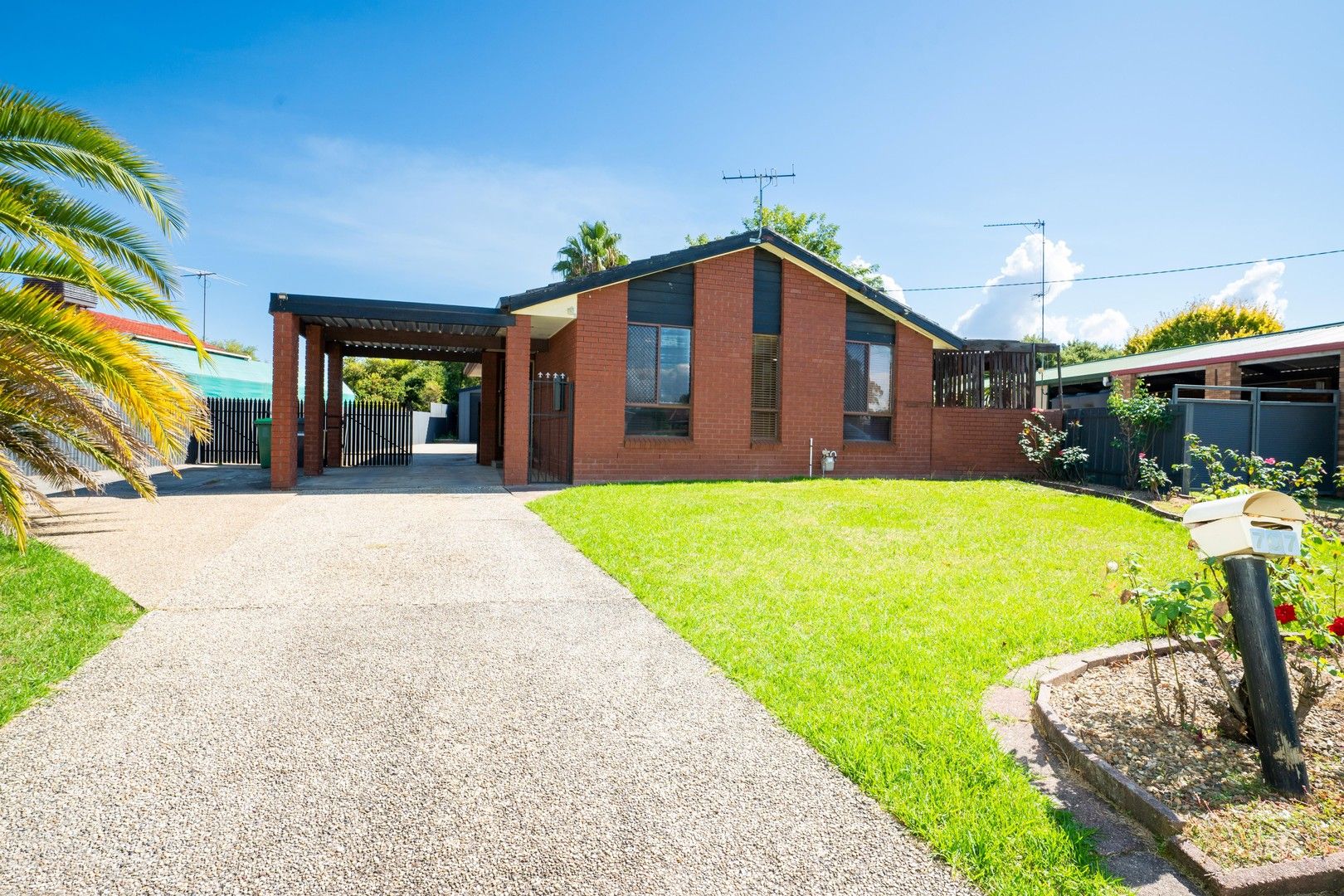 707 LAVIS STREET, Albury NSW 2640 House For Rent Domain