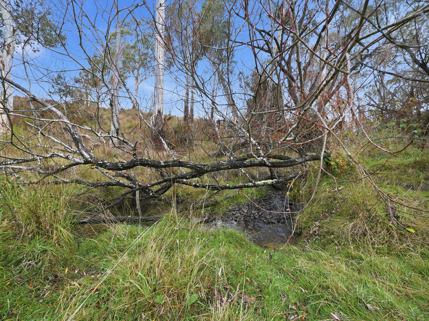 Image 23