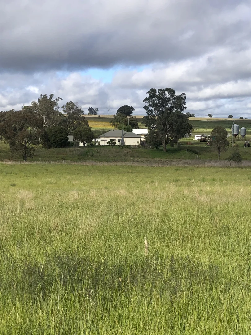Image 14