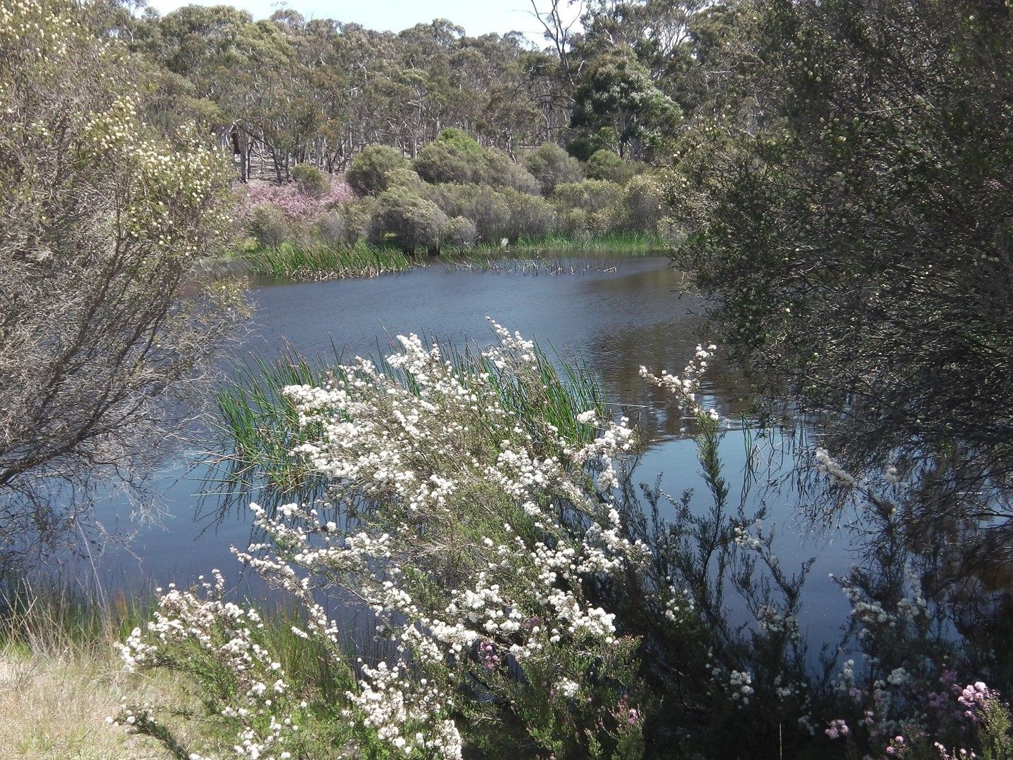 Lot 12 Lower Boro Road, Tarago NSW 2580, Image 1