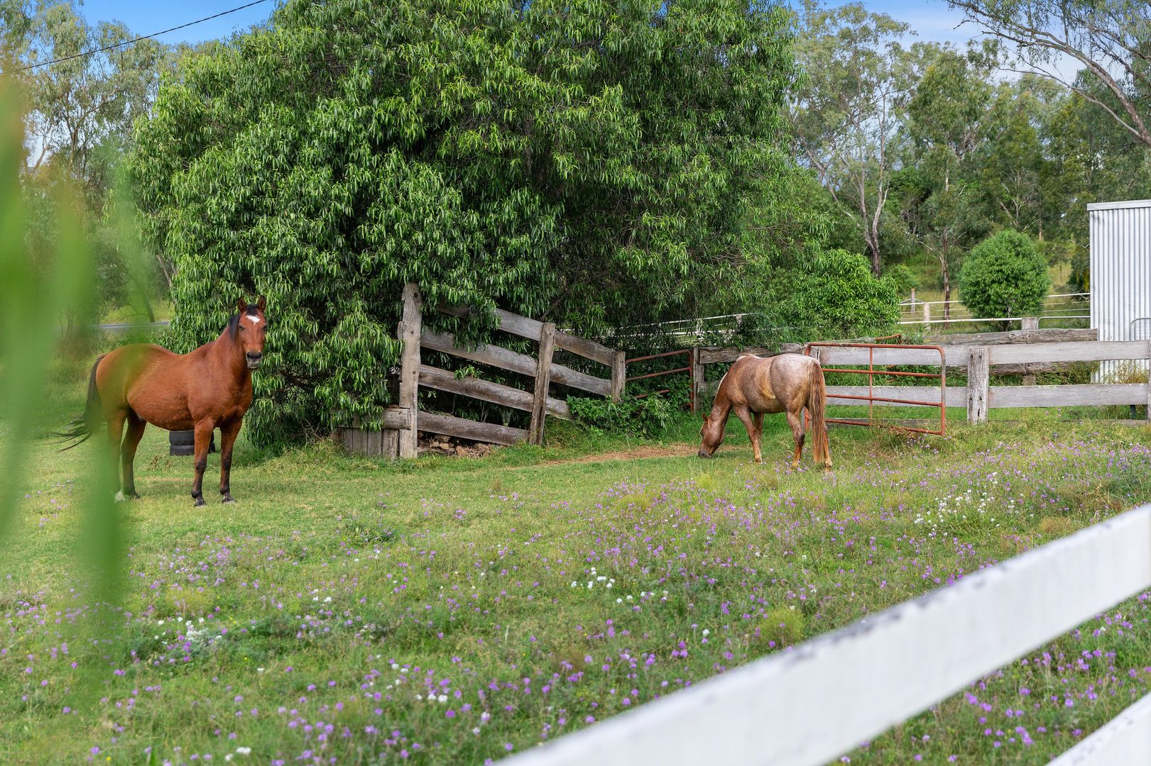 2108 Toowooomba - Karara Road, Cambooya QLD 4358, Image 1