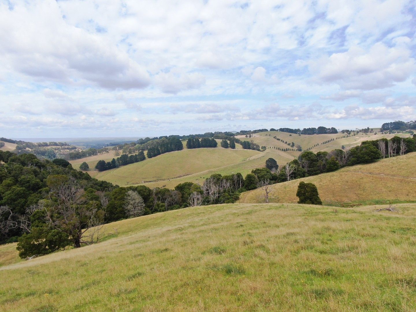 440. Ameys Track, Foster VIC 3960, Image 0